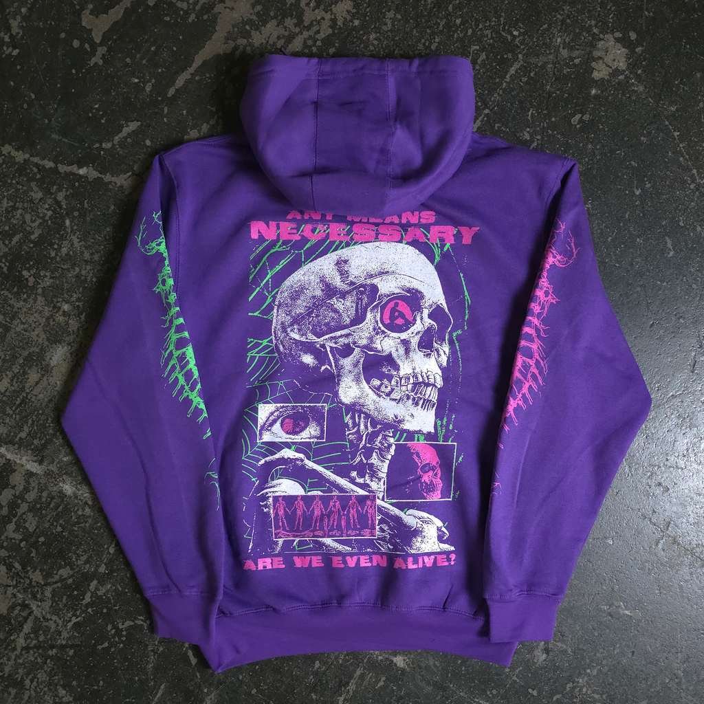 Are We Even Alive Pullover Hoodie Purple