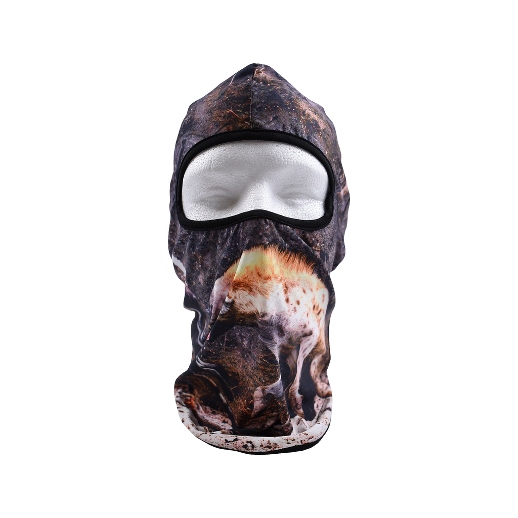 Last Stand Balaclava
